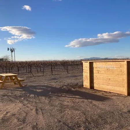 Tarantula Ranch Campground & Vineyard Near Death Valley National Park Amargosa Valley Exterior photo
