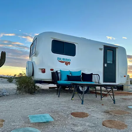 Tarantula Ranch Campground & Vineyard Near Death Valley National Park Amargosa Valley Exterior photo