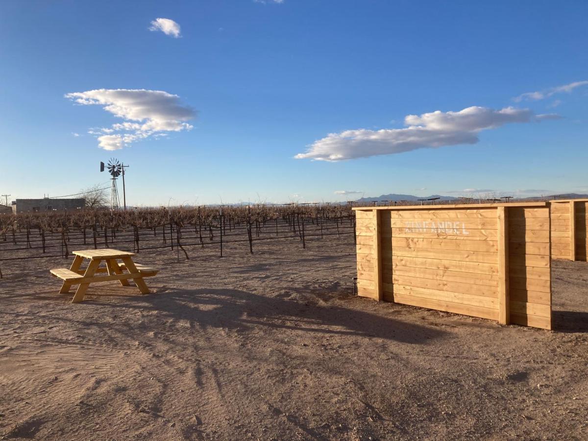 Tarantula Ranch & Vineyard Near Death Valley National Park Camping *