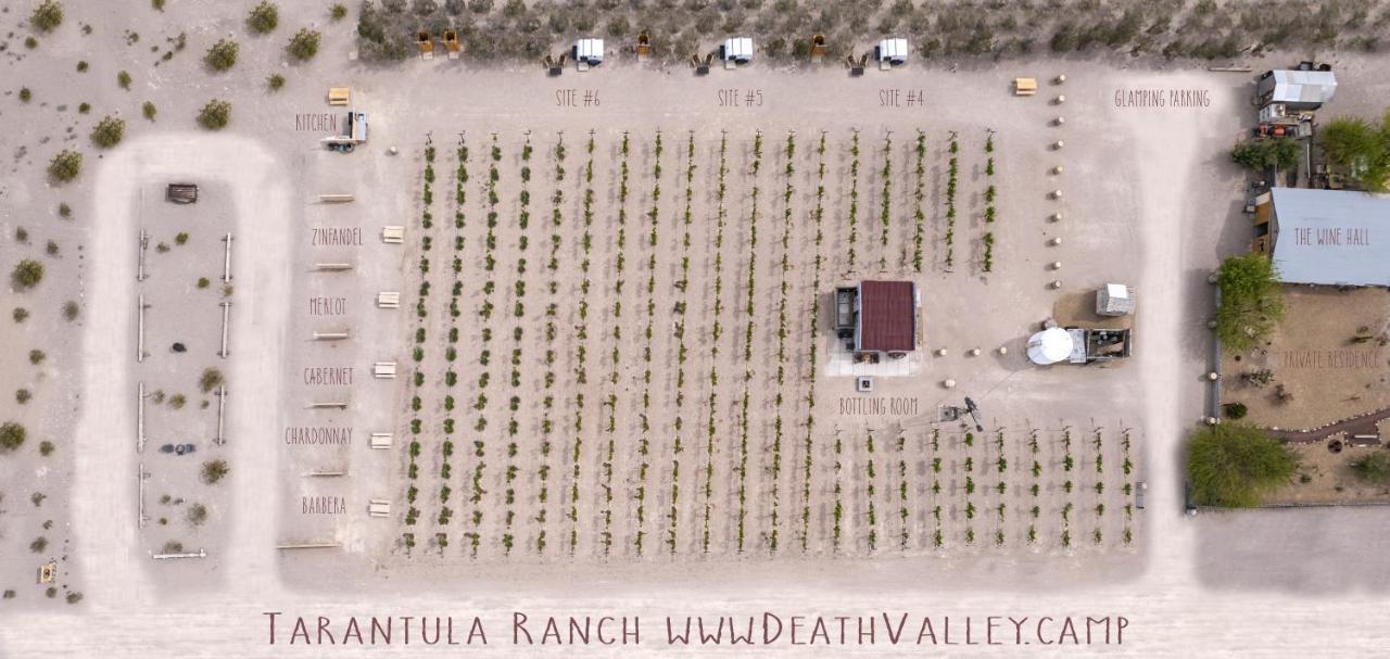 Tarantula Ranch & Vineyard Near Death Valley National Park Camping *